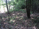 DSC04885