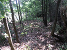 DSC04887