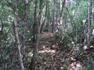 DSC04889