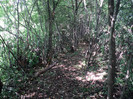 DSC04890