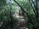 DSC04893