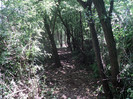 DSC04894