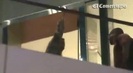 Demi Lovato Llego A Perú Y Saludo A Sus Fans  2012 32053