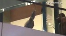 Demi Lovato Llego A Perú Y Saludo A Sus Fans  2012 32076