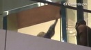 Demi Lovato Llego A Perú Y Saludo A Sus Fans  2012 32142