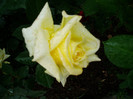 P1010016