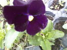 P18-05-12_15.50[1]
