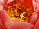 DSC09961