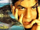 Shahrukh_Khan_1217696307
