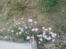 13052012444