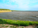 poza 013
