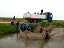 poza 030