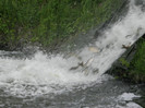 poza 057