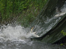 poza 059