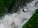 poza 074