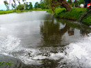 poza 084