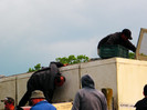 poza 085