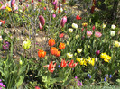 DSC00025
