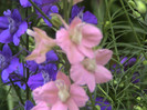 DSC00125