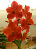 DSCN0425