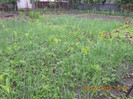 DSCN0948