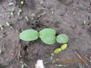 DSCN0953