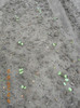 DSCN0961