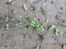 DSCN0970