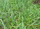 DSCN0971