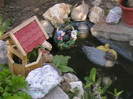 Picture 031