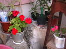 Picture 038