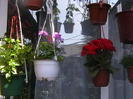 Picture 040