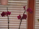 Picture 041