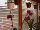 Picture 042
