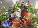 Picture 044