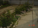 poze 613