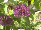 DSC00143