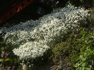 DSC00142