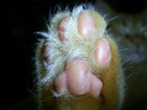 PIC_0057