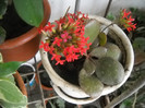 DSCN3192
