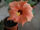 DSCN3194