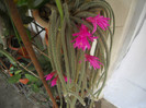 DSCN3203