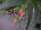 DSCN3206