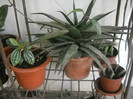 DSCN3312