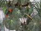 DSCN3315