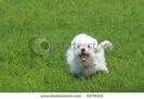 images (13)