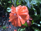 DSC00122