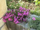 DSC00105