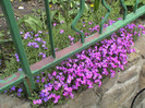 DSC00034