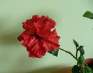 P1390284
